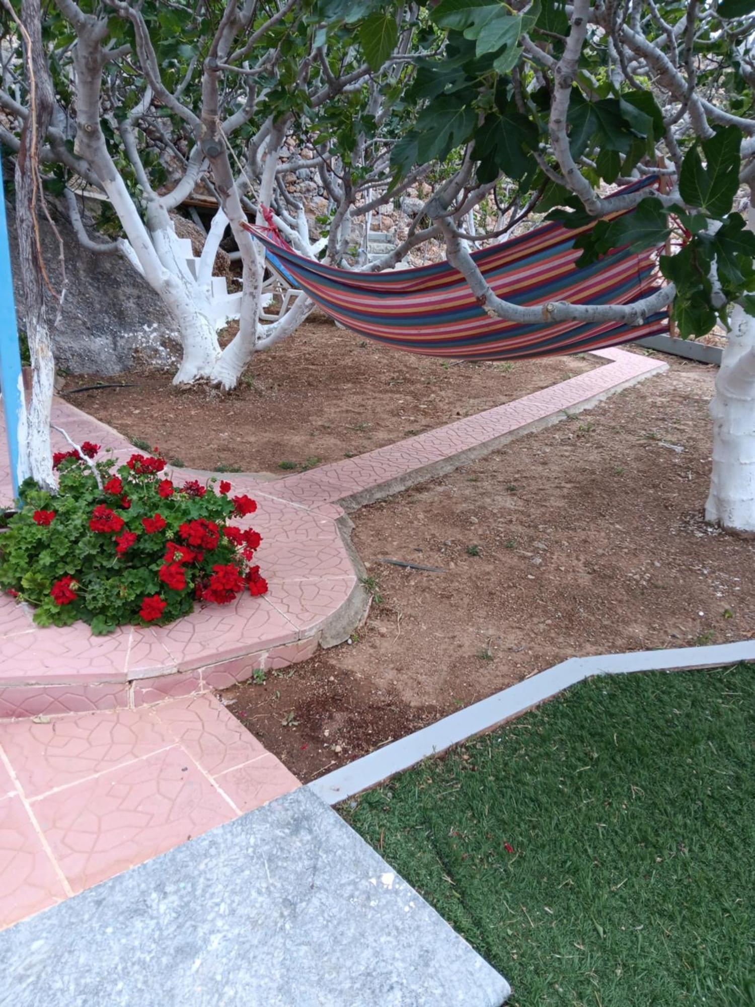 Villa Anna Skaliá Dış mekan fotoğraf